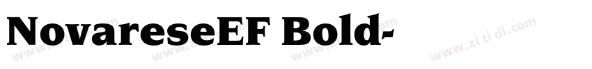 NovareseEF Bold字体转换
